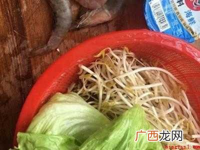 砂锅粉怎么吃