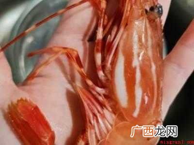 斑点虾怎么吃