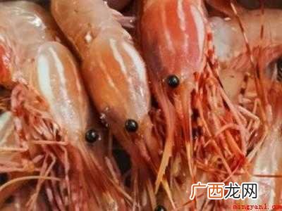 斑点虾怎么吃