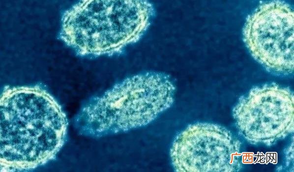 广东已经迎来甲流新流行高峰评论 广东已经迎来甲流新流行高峰