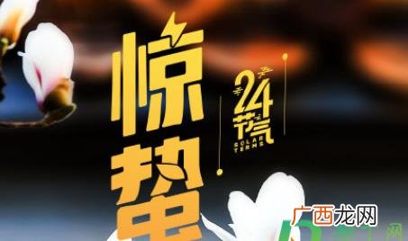惊蛰的蛰含义以及怎么读 惊蛰的蛰是什么意思