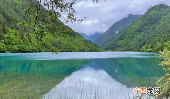 九寨沟景区的旅游市场已经开始复苏 九寨沟今年接待游客突破50万人次