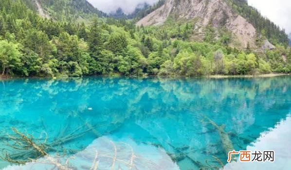 九寨沟景区的旅游市场已经开始复苏 九寨沟今年接待游客突破50万人次