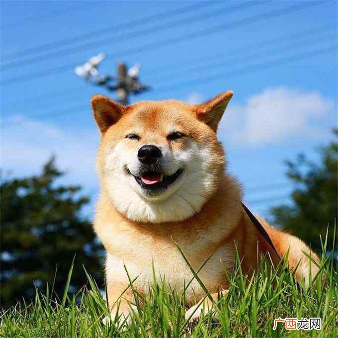 眉开眼笑的意思和解释 眉开眼笑的意思