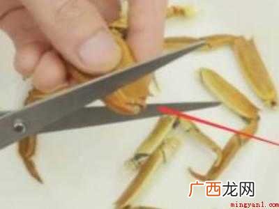 怎么样吃蟹钳里的肉的具体操作步骤 怎么样吃蟹钳里面的肉