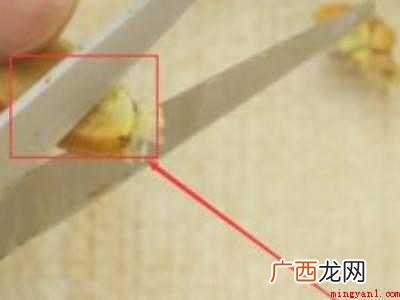 怎么样吃蟹钳里的肉的具体操作步骤 怎么样吃蟹钳里面的肉