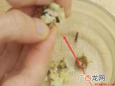 怎么样吃蟹钳里的肉的具体操作步骤 怎么样吃蟹钳里面的肉