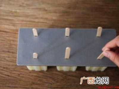 网纹瓜怎么吃