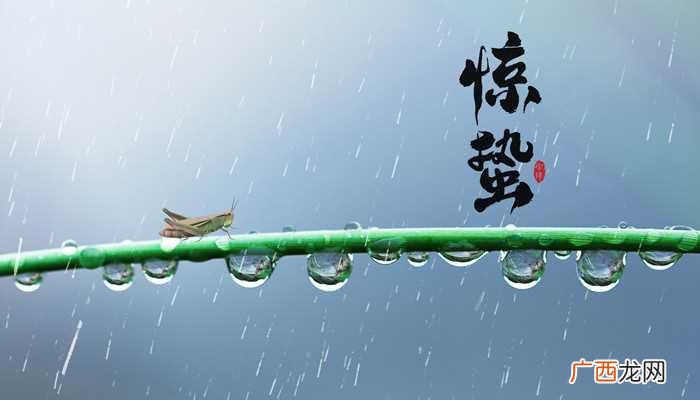 二十四节气里惊蛰的蛰的意思 二十四节气里惊蛰的蛰是什么意思