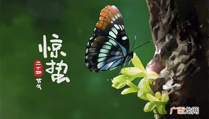 二十四节气里惊蛰的蛰的意思 二十四节气里惊蛰的蛰是什么意思