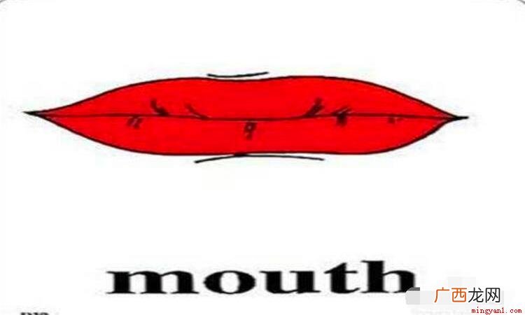 mouth作名词的时候意思 mouth是什么意思