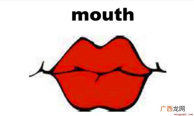 mouth作名词的时候意思 mouth是什么意思