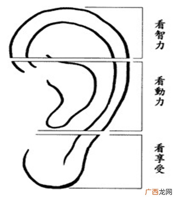 耳朵大有福是真的吗 耳垂大的人就真的有福吗