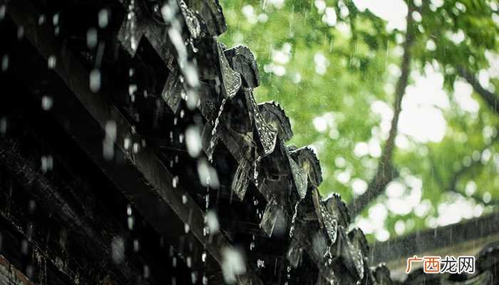 雨水节气相关谚语及意义 雨水节气习俗有哪些