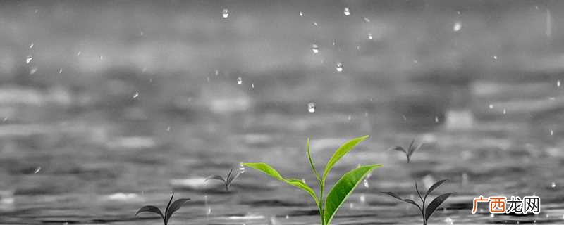 雨水节气相关谚语及意义 雨水节气习俗有哪些