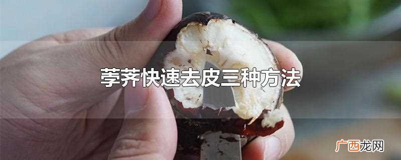 荸荠快速去皮三种方法视频 荸荠快速去皮三种方法