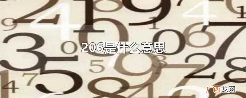 206的意思是 206是什么意思