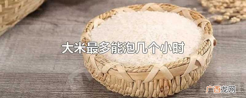 浸泡大米最好不要超过10小时 大米最多能泡几个小时