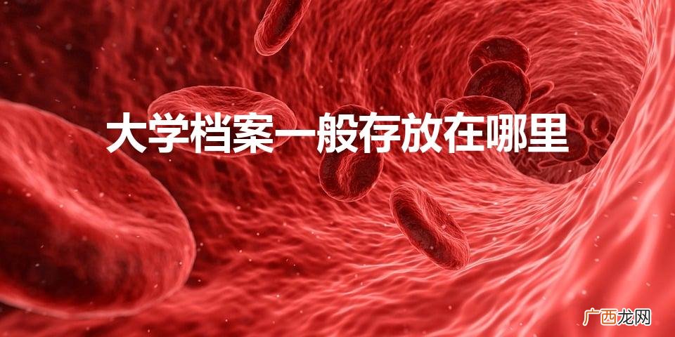 大学生档案存放在哪里 大学档案一般存放在哪里