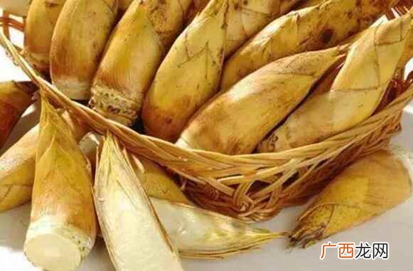 冬笋什么季节才有 冬笋采摘季节是什么时候