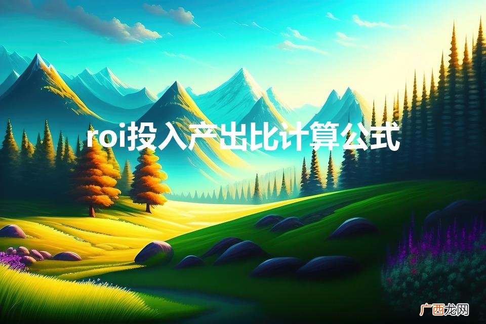 roi计算公式 roi投入产出比计算公式