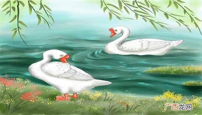 白毛浮绿水红掌拨清波描写的是 白毛浮绿水红掌拨清波描写的事物