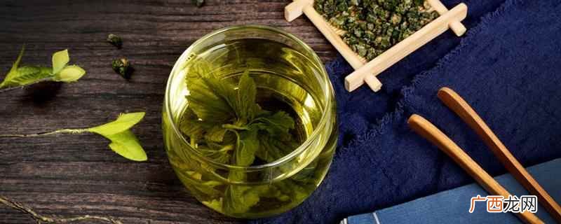 桑叶禁忌人群有哪些 桑叶禁忌人群