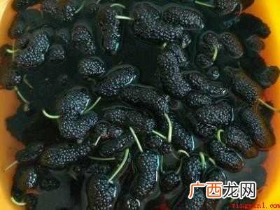 怎么吃桑葚