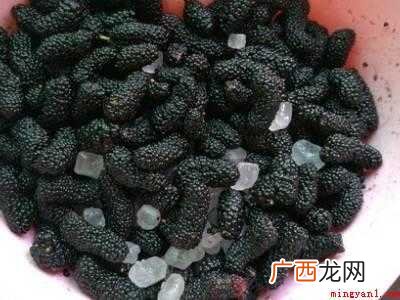 怎么吃桑葚