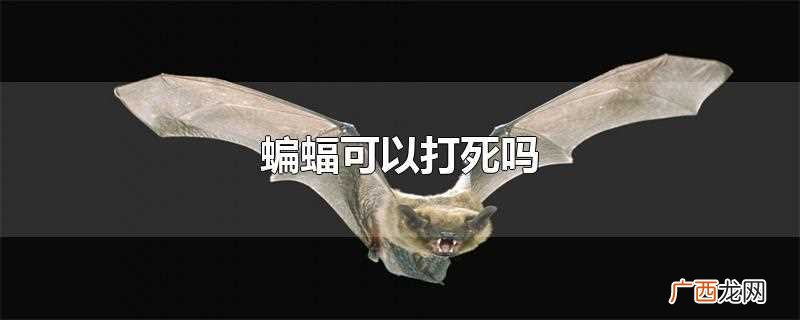 不能打死蝙蝠吗 蝙蝠会被轻易打死吗