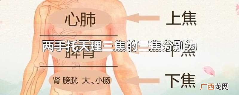 双手托天理三焦的三焦指的是 双手托天理三焦的三焦是什么意思
