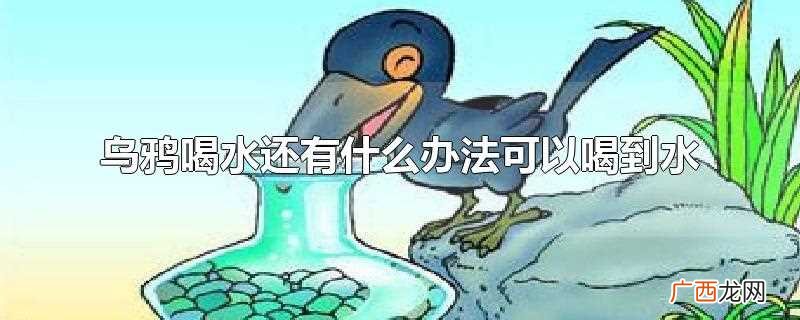乌鸦喝水还能用什么办法喝到水呢 乌鸦喝水还有什么办法可以喝到水