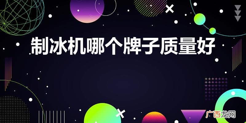 家用制冰机应该选择什么牌子的好 制冰机哪个牌子质量好