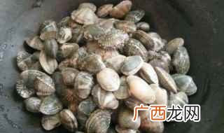 煮蚬子冷水还是热水下锅 煮蚬子多长时间能吃