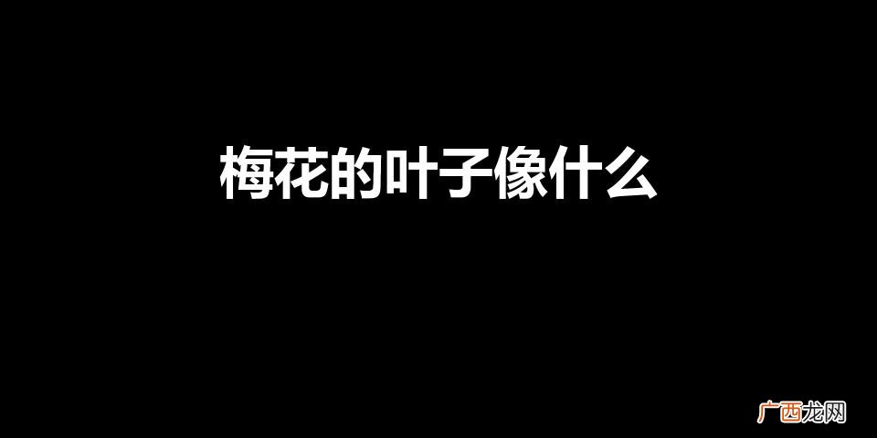 梅花的叶子像什么（梅花的叶子好像什么?)