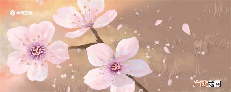 林花谢了春红太匆匆整首诗 林花谢了春红全诗赏析