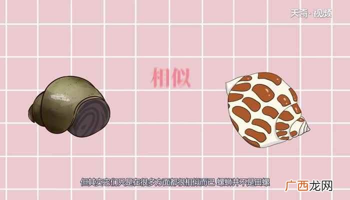 螺蛳是什么季节才有 螺蛳是田螺吗