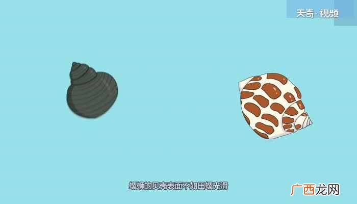 螺蛳是什么季节才有 螺蛳是田螺吗