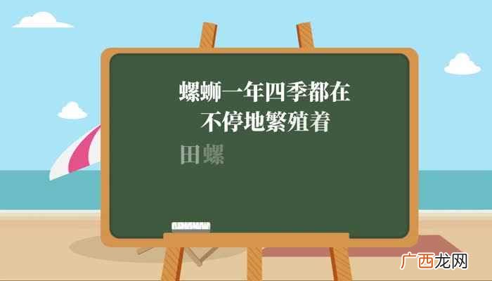 螺蛳是什么季节才有 螺蛳是田螺吗