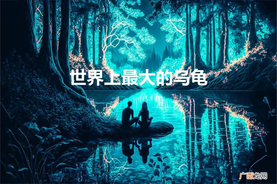 世界上最大的乌龟（世界上最大的蜘蛛)