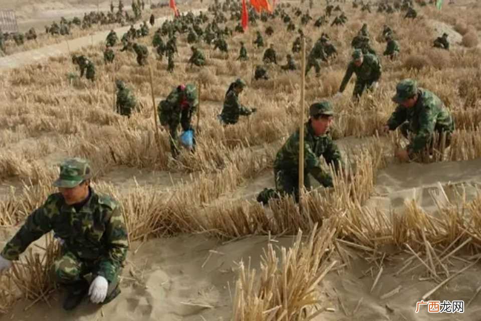 农二师在哪里 农二师在哪