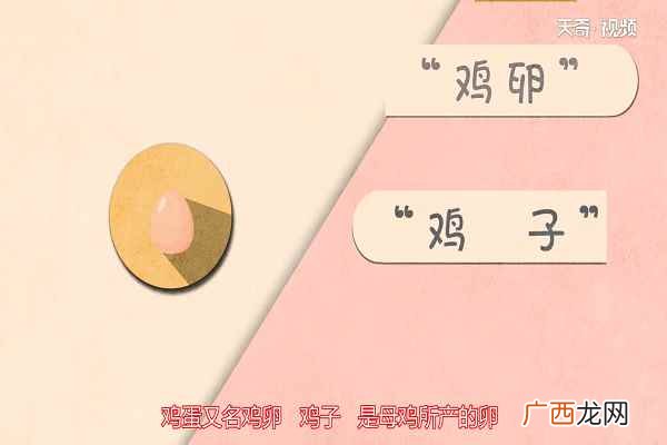 鸡蛋的功效与作用及副作用 鸡蛋的功效与作用
