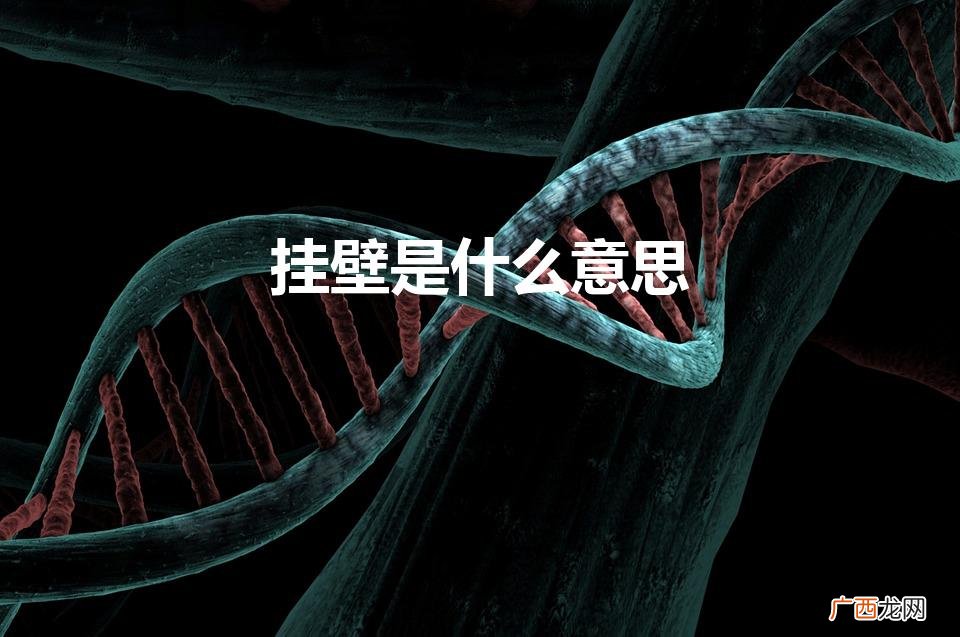 什么叫做挂壁 挂壁是什么意思