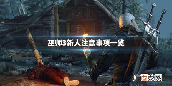 巫师3攻略零基础攻略 巫师3中期攻略