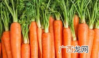 胡萝卜炒鸡蛋的家常做法简单好吃 胡萝卜炒鸡蛋的家常做法