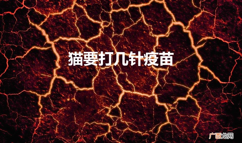 猫要打几针疫苗(宠物猫的品种及价格)