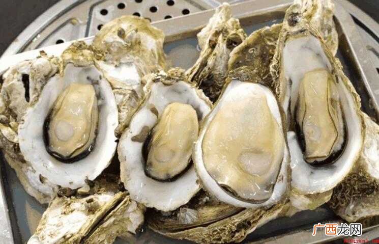 海蛎子冷藏还是冷冻