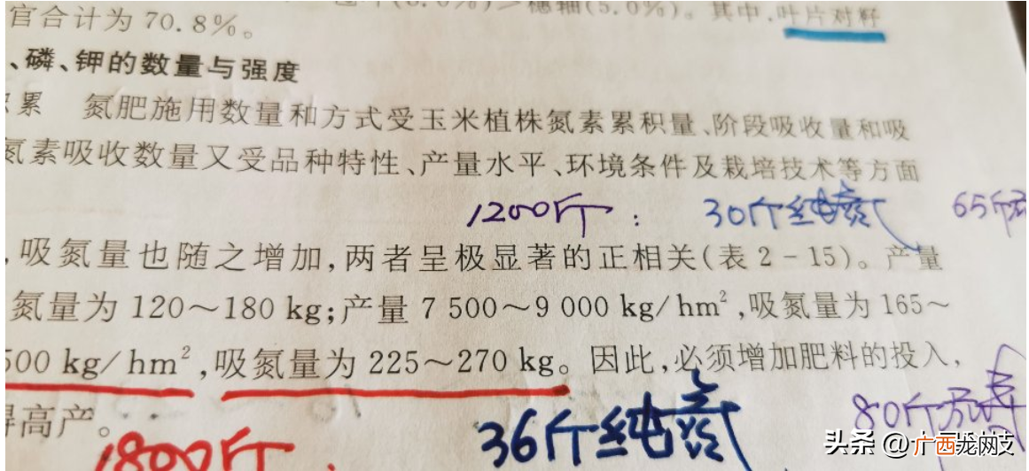 事实上，中型“匀溜”才正好 玉米什么品种产量最高