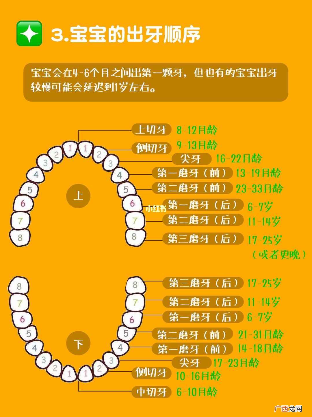 宝宝长牙的正常顺序是怎样的 婴儿几个月长牙齿