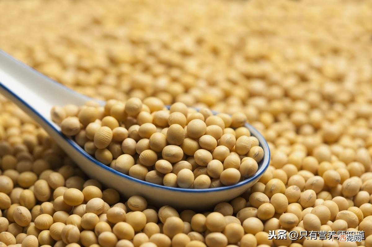 分别有什么营养价值 大豆和黄豆的区别在哪里